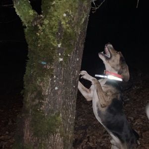 Meet your Posher, Ian